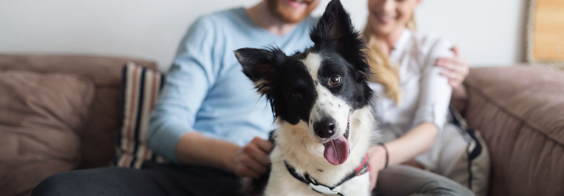 Can A Landlord Charge For A Service Dog